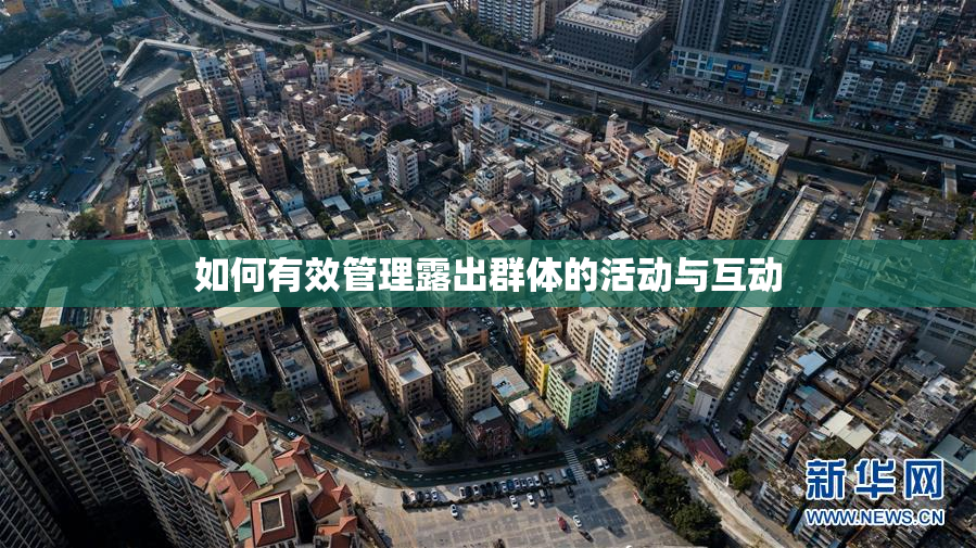 如何有效管理露出群体的活动与互动