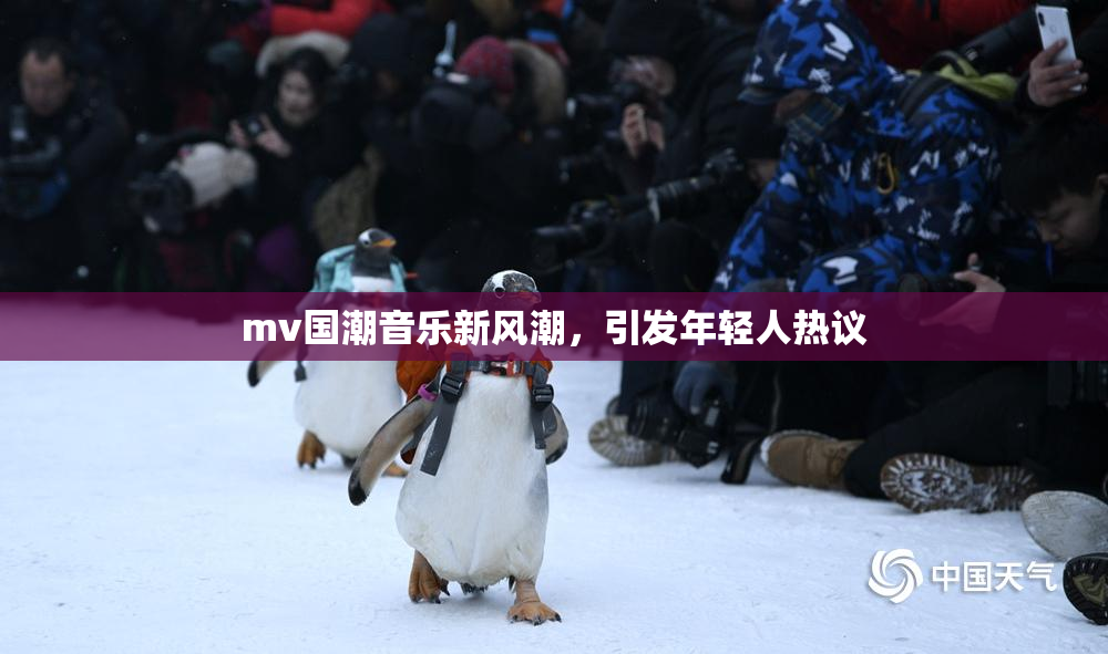 mv国潮音乐新风潮，引发年轻人热议
