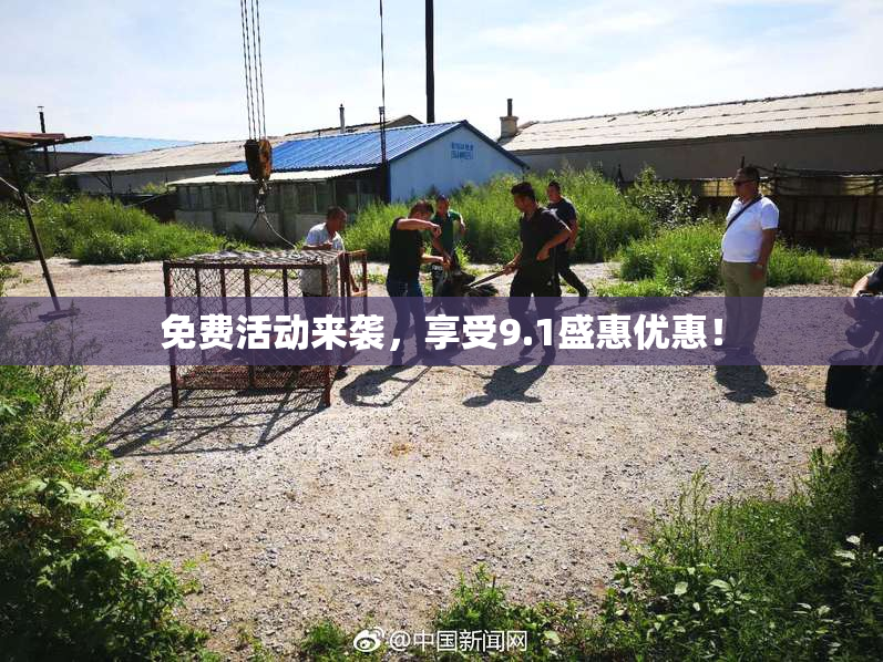 免费活动来袭，享受9.1盛惠优惠！