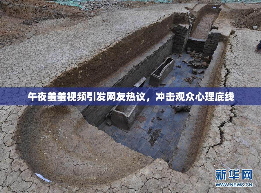 午夜羞羞视频引发网友热议，冲击观众心理底线