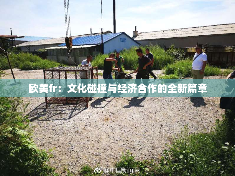 欧美fr：文化碰撞与经济合作的全新篇章