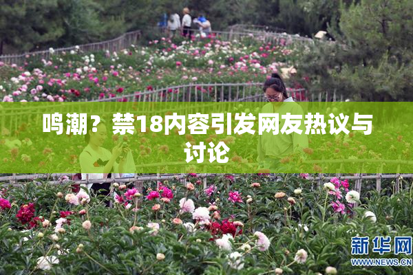 鸣潮？禁18内容引发网友热议与讨论