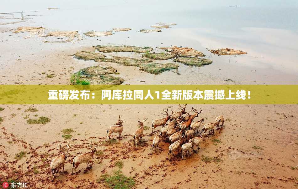 重磅发布：阿库拉同人1全新版本震撼上线！
