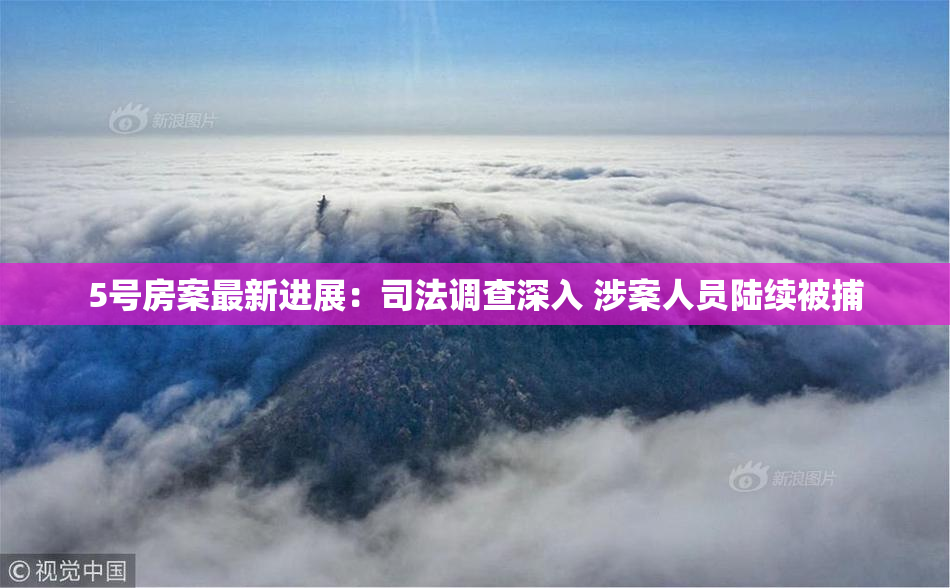 5号房案最新进展：司法调查深入 涉案人员陆续被捕