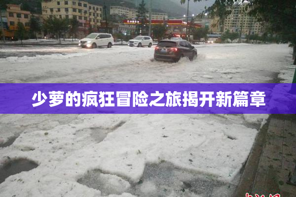 少萝的疯狂冒险之旅揭开新篇章