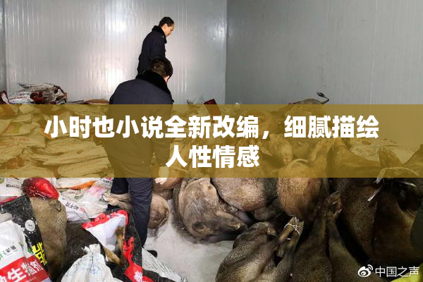 小时也小说全新改编，细腻描绘人性情感