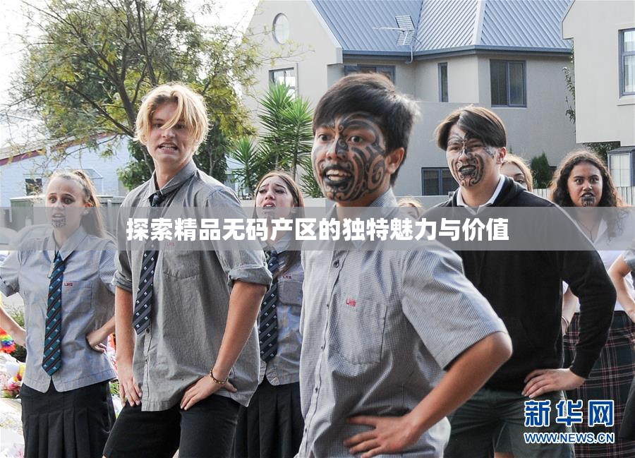 探索精品无码产区的独特魅力与价值