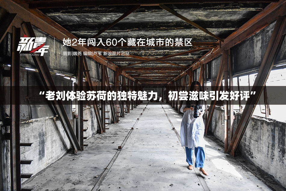 “老刘体验苏荷的独特魅力，初尝滋味引发好评”