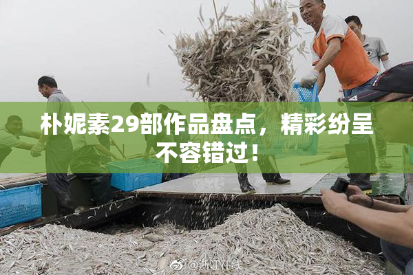 朴妮素29部作品盘点，精彩纷呈不容错过！