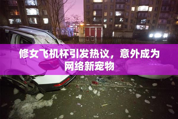 修女飞机杯引发热议，意外成为网络新宠物