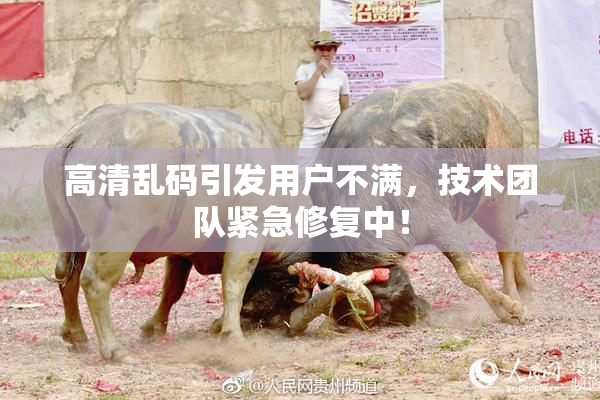 高清乱码引发用户不满，技术团队紧急修复中！