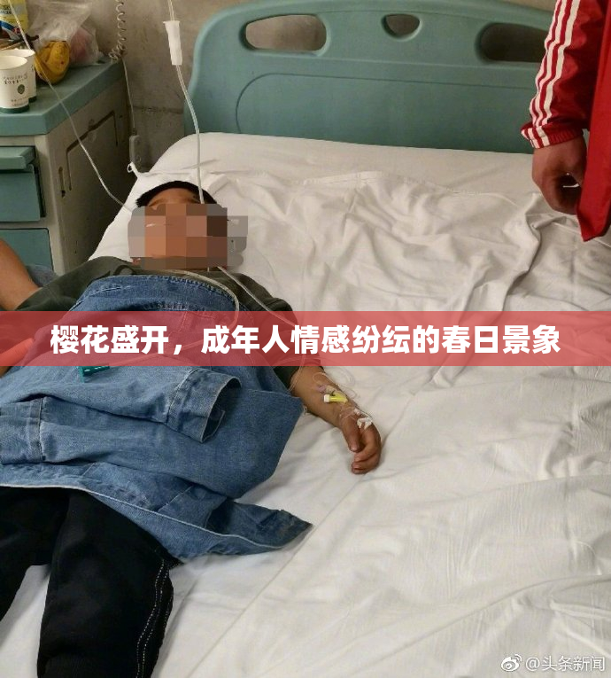 樱花盛开，成年人情感纷纭的春日景象