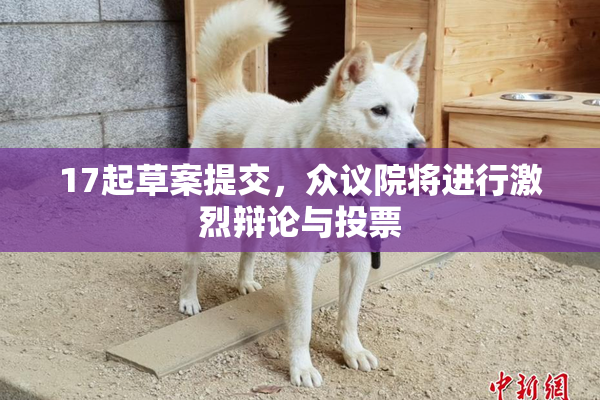 17起草案提交，众议院将进行激烈辩论与投票