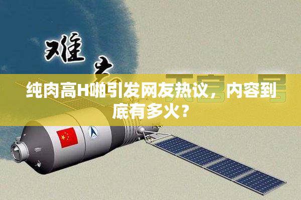 纯肉高H啪引发网友热议，内容到底有多火？