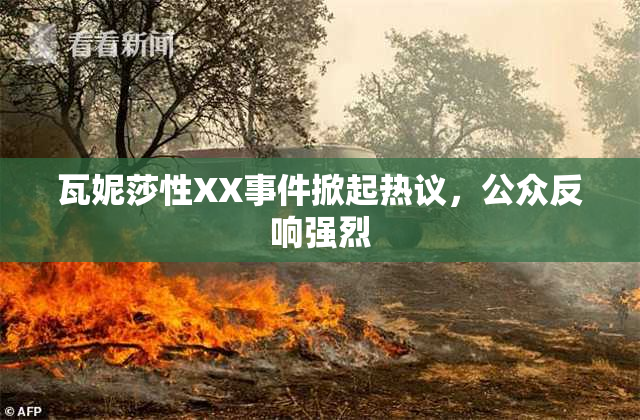 瓦妮莎性XX事件掀起热议，公众反响强烈