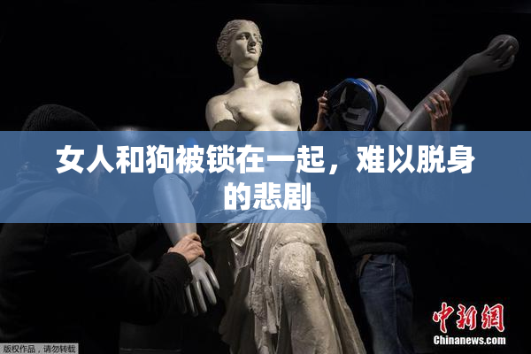 女人和狗被锁在一起，难以脱身的悲剧