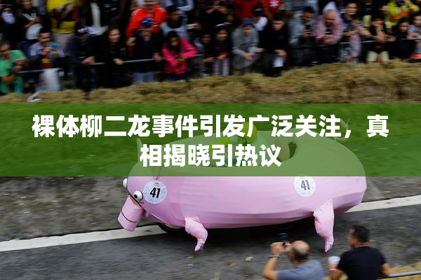 裸体柳二龙事件引发广泛关注，真相揭晓引热议