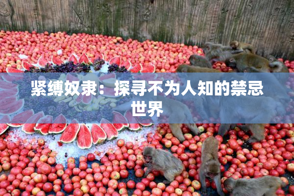 紧缚奴隶：探寻不为人知的禁忌世界