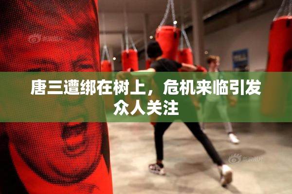 唐三遭绑在树上，危机来临引发众人关注