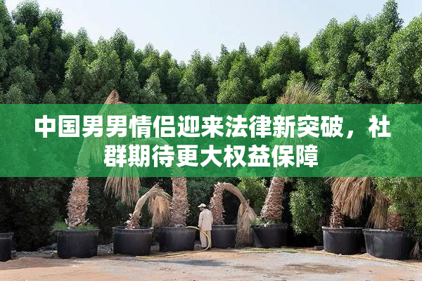 中国男男情侣迎来法律新突破，社群期待更大权益保障