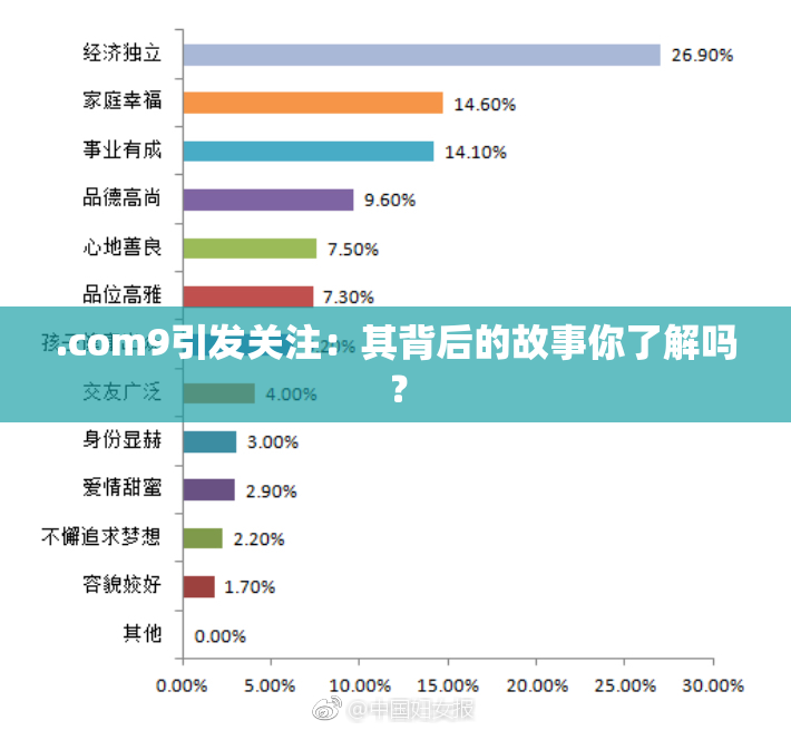 .com9引发关注：其背后的故事你了解吗？
