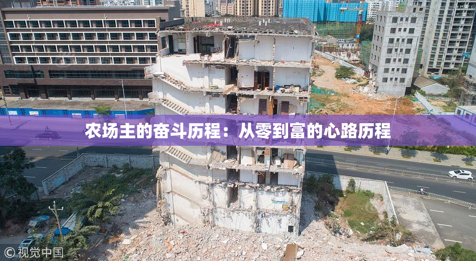 农场主的奋斗历程：从零到富的心路历程