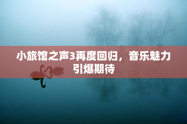 小旅馆之声3再度回归，音乐魅力引爆期待