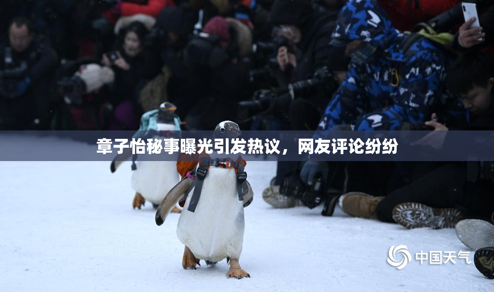 章子怡秘事曝光引发热议，网友评论纷纷