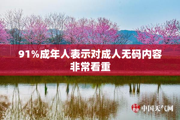 91%成年人表示对成人无码内容非常看重