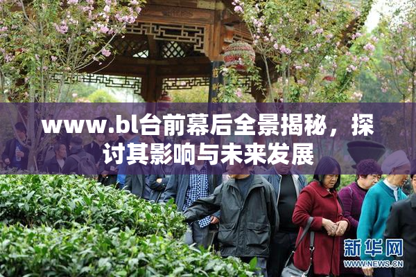 www.bl台前幕后全景揭秘，探讨其影响与未来发展