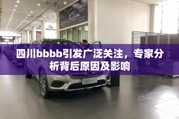 四川bbbb引发广泛关注，专家分析背后原因及影响