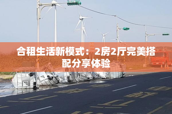 合租生活新模式：2房2厅完美搭配分享体验