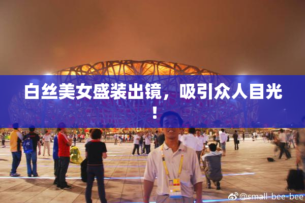 白丝美女盛装出镜，吸引众人目光！