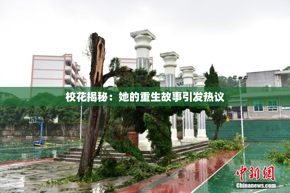 校花揭秘：她的重生故事引发热议