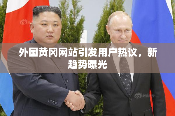 外国黄冈网站引发用户热议，新趋势曝光