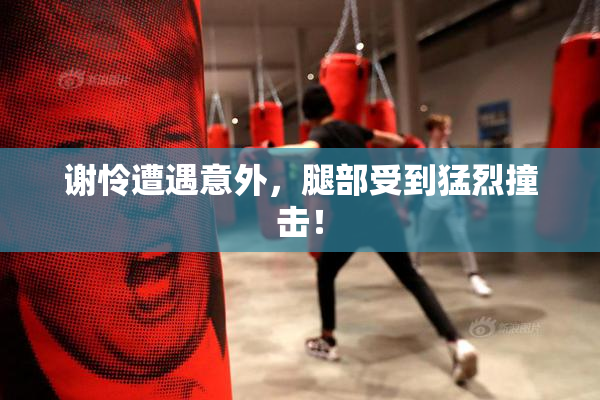 谢怜遭遇意外，腿部受到猛烈撞击！