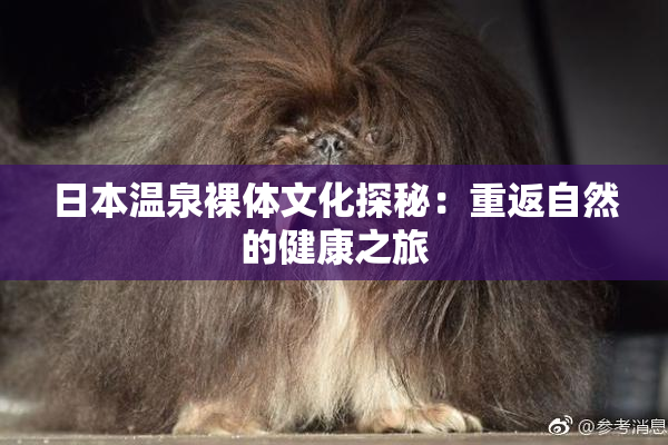 日本温泉裸体文化探秘：重返自然的健康之旅