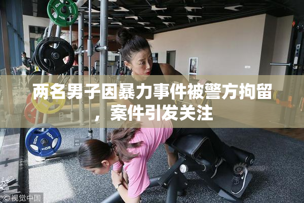 两名男子因暴力事件被警方拘留，案件引发关注