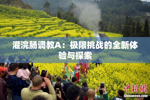 灌浣肠调教A：极限挑战的全新体验与探索