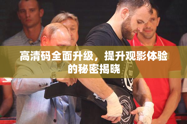 高清码全面升级，提升观影体验的秘密揭晓