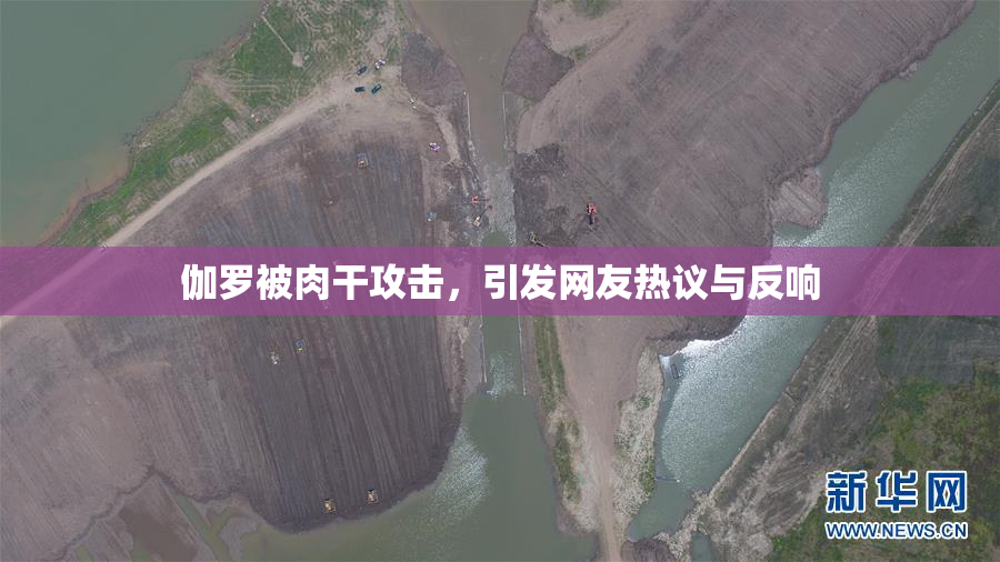 伽罗被肉干攻击，引发网友热议与反响