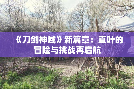《刀剑神域》新篇章：直叶的冒险与挑战再启航