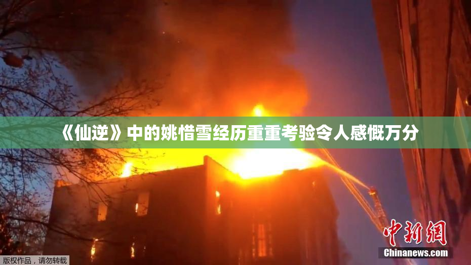 《仙逆》中的姚惜雪经历重重考验令人感慨万分