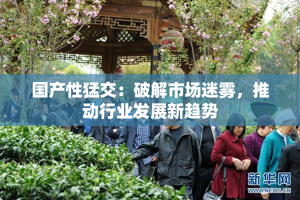 国产性猛交：破解市场迷雾，推动行业发展新趋势
