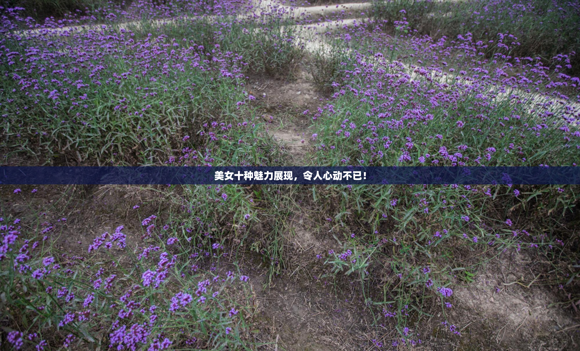 美女十种魅力展现，令人心动不已！
