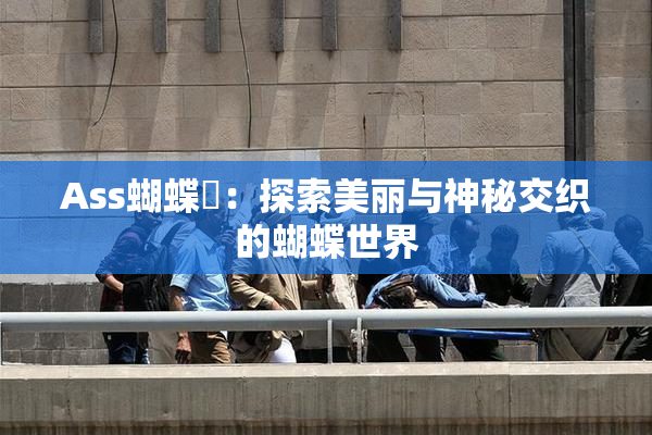 Ass蝴蝶泬：探索美丽与神秘交织的蝴蝶世界
