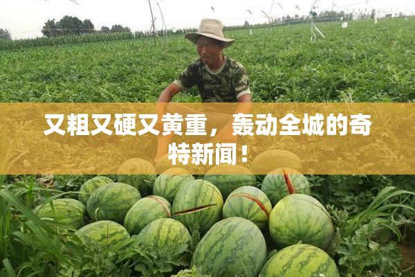 又粗又硬又黄重，轰动全城的奇特新闻！