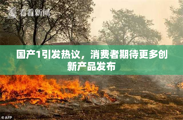 国产1引发热议，消费者期待更多创新产品发布