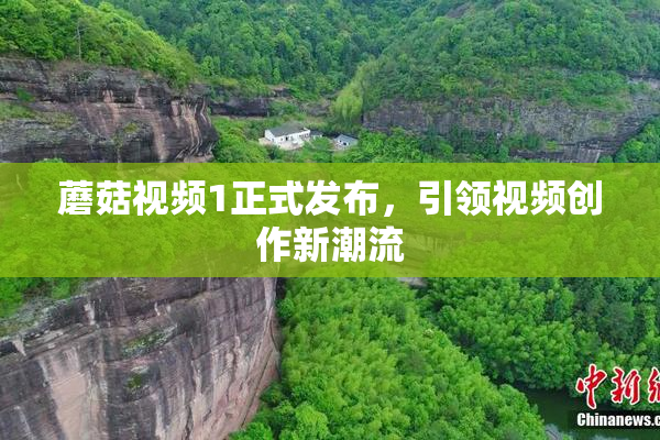 蘑菇视频1正式发布，引领视频创作新潮流