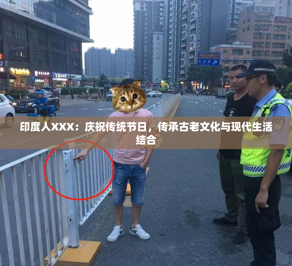 印度人XXX：庆祝传统节日，传承古老文化与现代生活结合